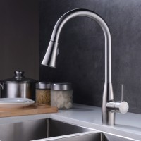 Professional supply muti-function pull out kitchen faucet spring with competitive price